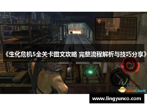 《生化危机5全关卡图文攻略 完整流程解析与技巧分享》