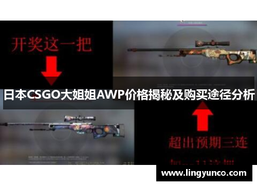 日本CSGO大姐姐AWP价格揭秘及购买途径分析